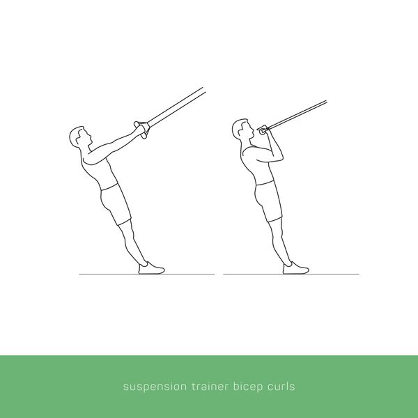 Fitness Icon Workout - suspension trainer bicep curls