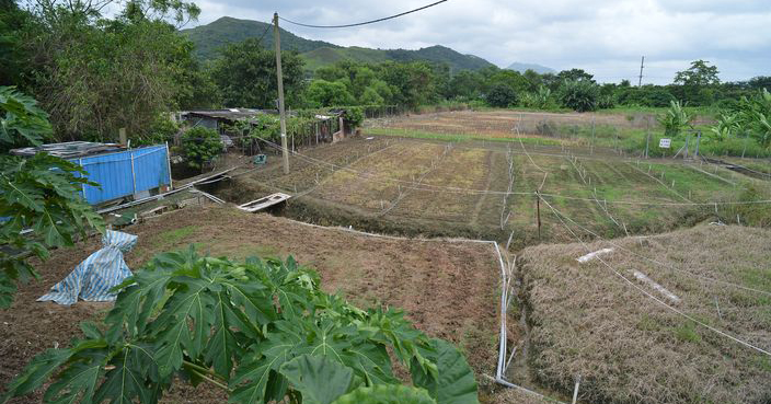 新界近馬屎埔有官地被霸佔情況。 伍明輝攝(Pix By : Thomas Ng) 2013/08/15 港聞